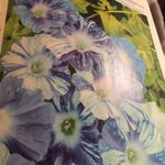 Nancy Keyes - @nancygrantkeyes - Instagram