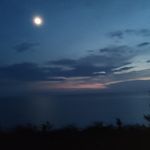 Nancy Keyes - @nanckeyes - Instagram