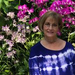 Nancy Keyes - @nlkeyes - Instagram