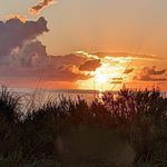 Nancy Kiesel Hogan - @nancykieselhogan - Instagram