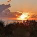 Nancy Kiesel Hogan - Facebook
