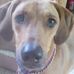 Nancy Kilbane - Facebook