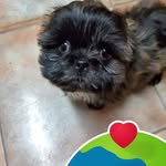 Nancy Killam - @killamnancy - Instagram