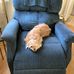 Nancy Killebrew - Facebook