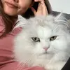 Nancy Killen - @nancykillen - TikTok
