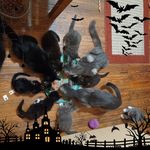 Nancy Kimball - @nancy.kimball.5454 - Instagram
