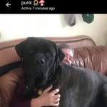 Nancy Kimble - @nancy.kimble1 - Instagram