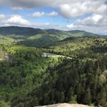 Nancy Bell Kimsey, Author - @pinewarblerpublications - Instagram