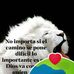 Nancy King - Facebook