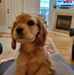 Nancy A Kittle - Facebook