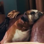 Nancy clemmer - @clemmer99 - Instagram