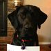 Nancy Klenk - Facebook