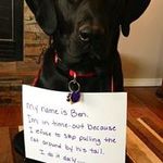 Nancy Klenk - @klenknancy - Instagram