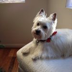 Nancy Klepacki - @klepackinancy - Instagram