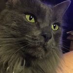 Nancy Kluge - @use_your_wings_to_fly - Instagram