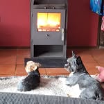 Nancy Kluge - @0708nany - Instagram