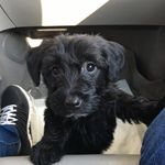 NancyKnauer - @gregnancyknauer - Instagram