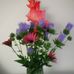 Nancy Kontos - Facebook