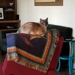 Nancy Koski - @nancy.koski.7186 - Instagram