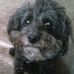 Nancy Krajewski - Facebook