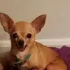 nancygrajewski - @nancygrajewski - TikTok
