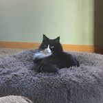 Nancy Krantz - @nancykrantzy - Instagram