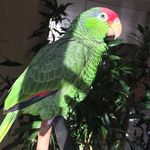 Nancy Krantz - @redheadedamazon_jimmy - Instagram