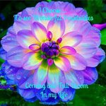 Nancy Krouse Goss - @nancy.krouse - Instagram