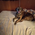 Nancy Krout - @nanck76 - Instagram