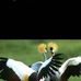 Namcy Kurgat - Facebook