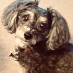 Nancy Lively Dave Kucera - @nancy1sharon1lee - Instagram