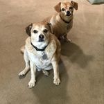 Nancy Kunst - @nancy.kunst.7 - Instagram