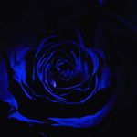 Nancy Kunze - @nancy.kunze.18 - Instagram