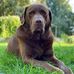 Nancy Kunze - Facebook