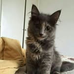 Nancy kwon - @minisnowflake_ - Instagram