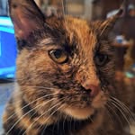Nancy Kyle - @tiggerificgirl - Instagram