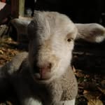NANCY 🐑 - @nancy_laborrega - Instagram