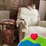 Nancy Lafferty - Facebook
