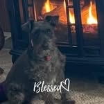 Nancy Lafferty - @delafferty70 - Instagram