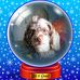 Nancy Laing - Facebook