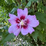 Nancy Lakey - @lakey551 - Instagram