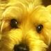 Nancy Landi - Facebook