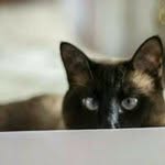 Nancy Larson - @nancy.larson.338 - Instagram