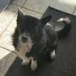 Nancy Larson - @nancylarson43 - Instagram