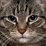 NancyLast - @nancy_last - Instagram