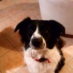 nancy Laurent - @nancylaurent77 - Instagram