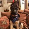 Nancy Lavallee Szrub - @nancylavalleeszruba1 - TikTok