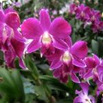 Nancy Layman - @laymannancy - Instagram