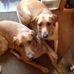 Nancy Laymon - Facebook