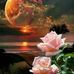 Nancy Laymon - Facebook